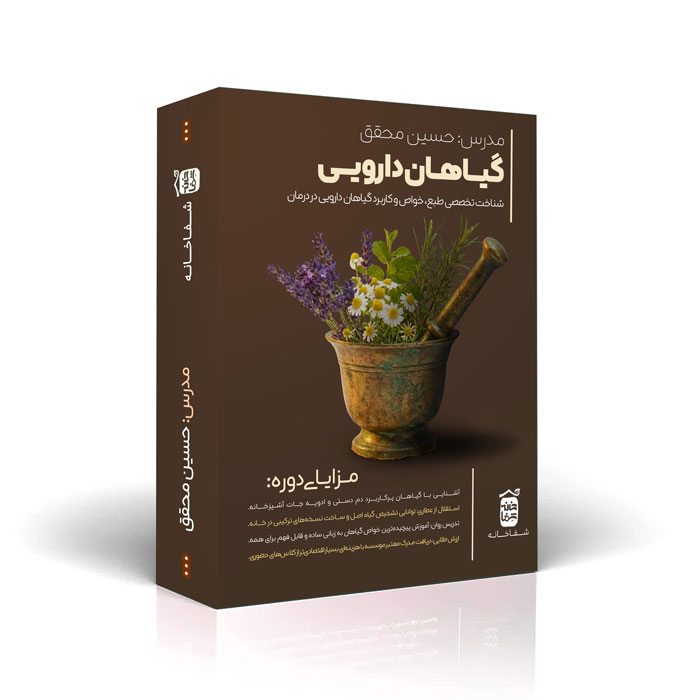 مفردات